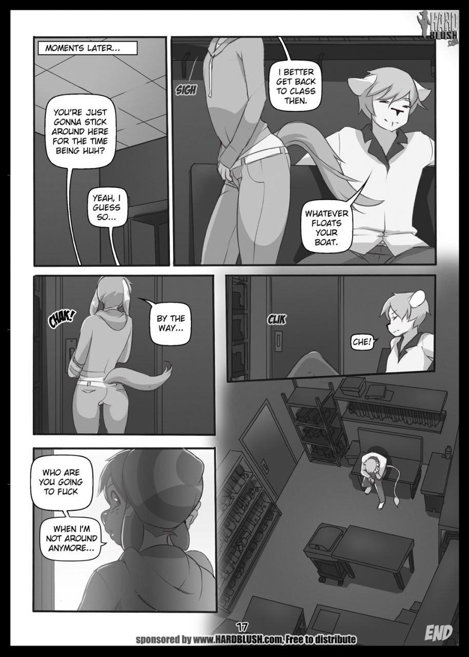 Projections [Doxy] 1.5 . Projections - Alternate - Chapter 1 [Doxy] – page 17