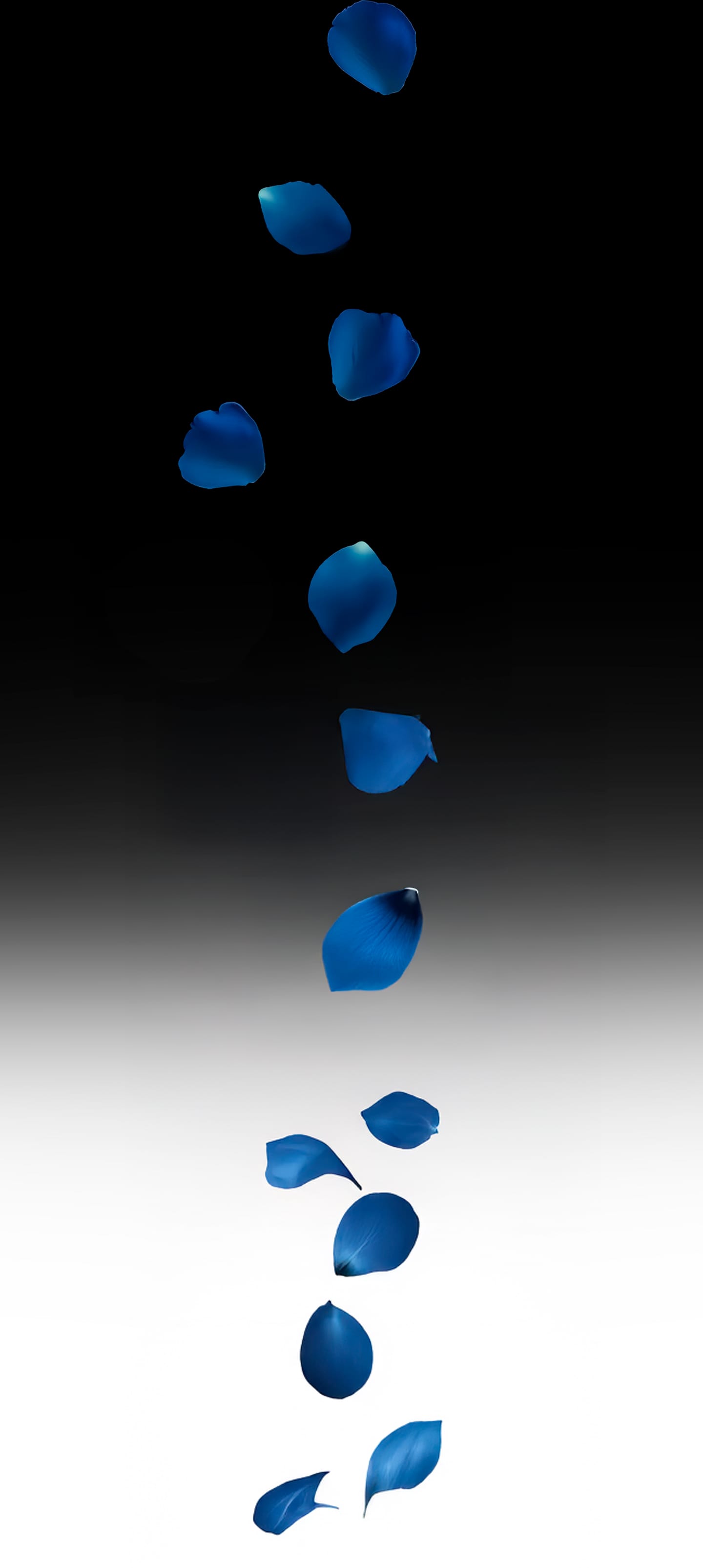 Dismissed [Rose Blue 3D] 1 . Dismissed - Chapter 1 [Rose Blue 3D] – page 17
