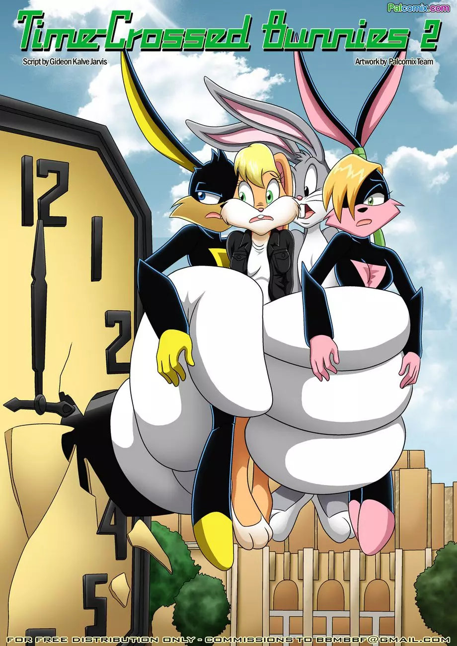 Time Crossed Bunnies Chapter 2 – page 1