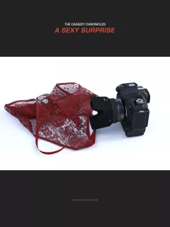 A Sexy Surprise [MaxSmeagol] rule 34 porn comic cover