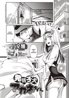 Hatsujou Koinu Akane-chan [Fumi Miyabi] rule 34 porn comic cover