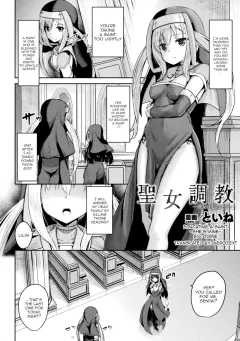 Seijo Choukyou [Toine Hoko] rule 34 porn comic cover
