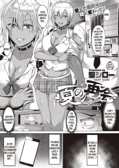 Summer Reunion [Saint Shiro] rule 34 porn comic cover