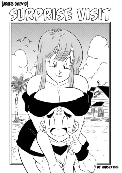 Surprise Visit (Dragon Ball Z) [FunsexyDB] rule 34 porn comic cover