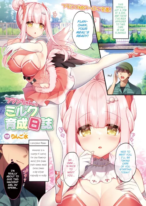 Flan’s Milk Breeding Diary [Ringo Sui] rule 34 porn comic cover