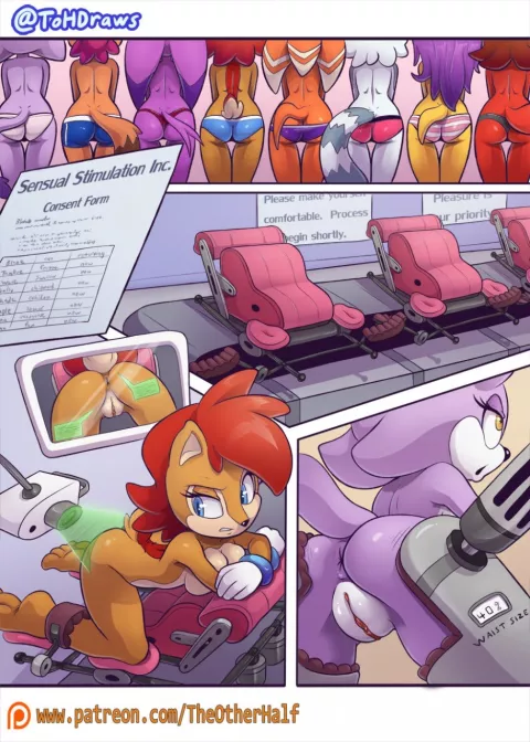 Group Enhancements (Sonic The Hedgehog) [TheOtherHalf] rule 34 porn comic cover