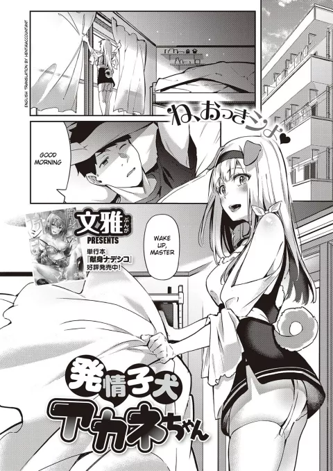 Hatsujou Koinu Akane-chan [Fumi Miyabi] rule 34 porn comic cover