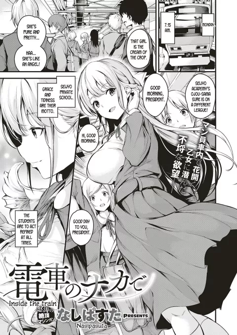 Inside the Train [Nasipasuta] rule 34 porn comic cover