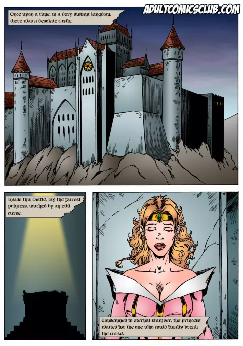 Sleeping Beauty (Sleeping Beauty) [AdultComicsClub] rule 34 porn comic cover