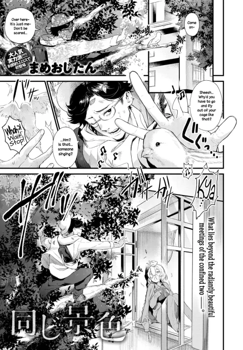 The Same Sights [Mameojitan] rule 34 porn comic cover