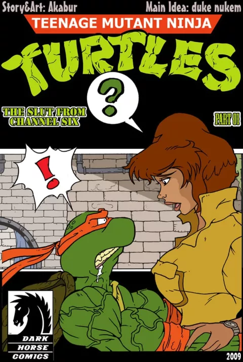 The Slut From Channel Six (Teenage Mutant Ninja Turtles) [Akabur] rule 34 porn comic cover