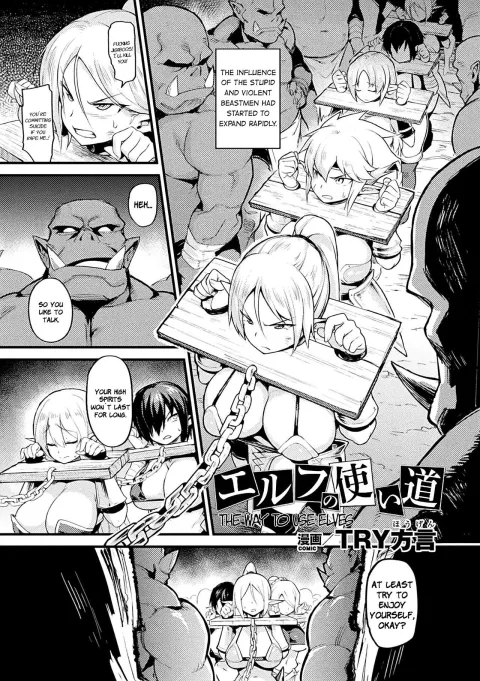 The Way to Use Elves [TRY] rule 34 porn comic cover