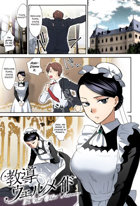 The Well “Maid” Instructor [Syoukaki] rule 34 porn comic cover